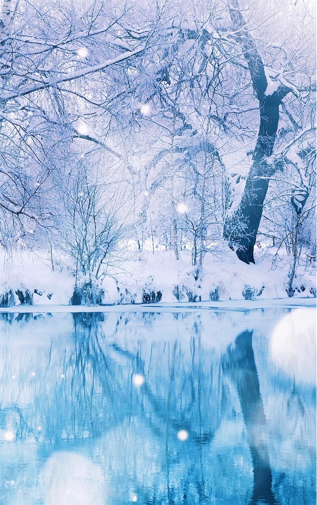 f:id:Kougetsu:20220112221331j:image f:id:Kougetsu:20220112221331j:image