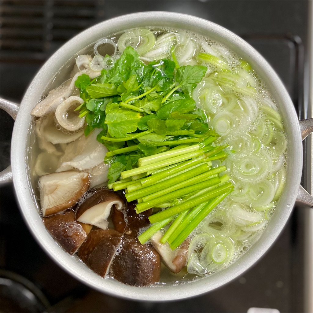 f:id:Kouzi_Midorikawa:20201203020927j:image