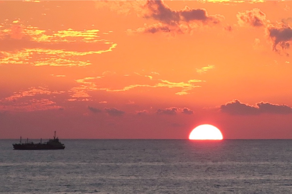 f:id:Kouzi_Midorikawa:20231123213133j:image