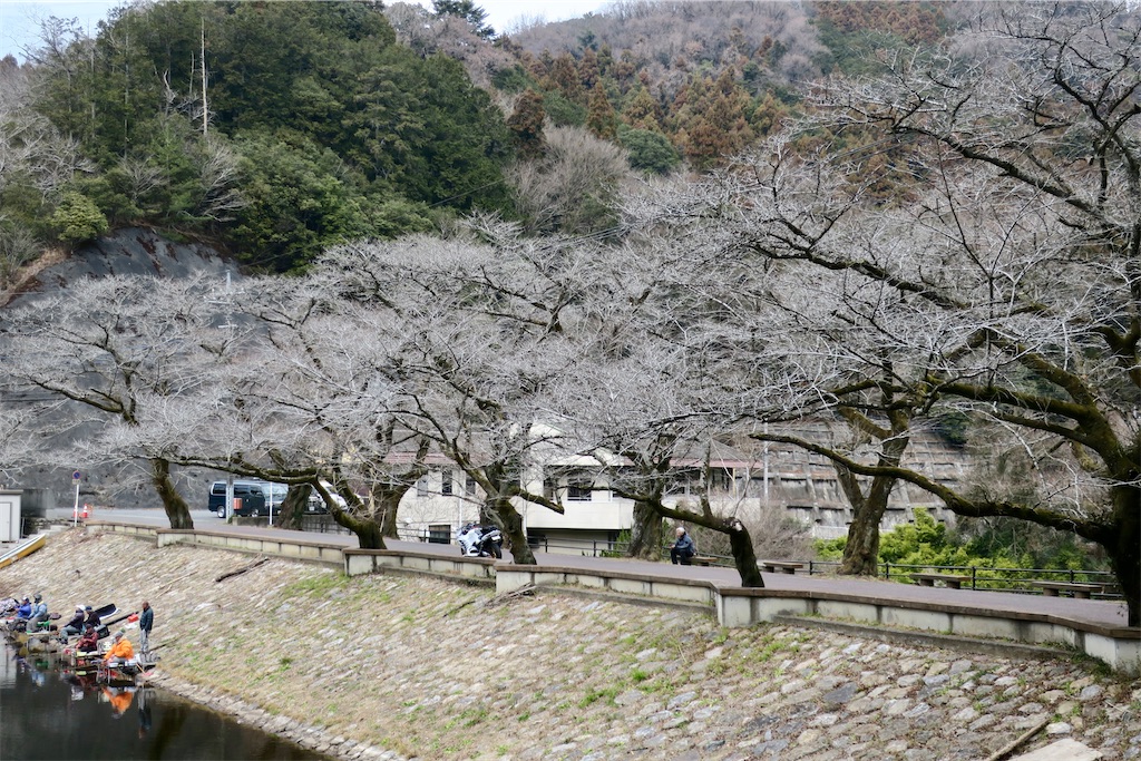 f:id:Kouzi_Midorikawa:20240129123037j:image