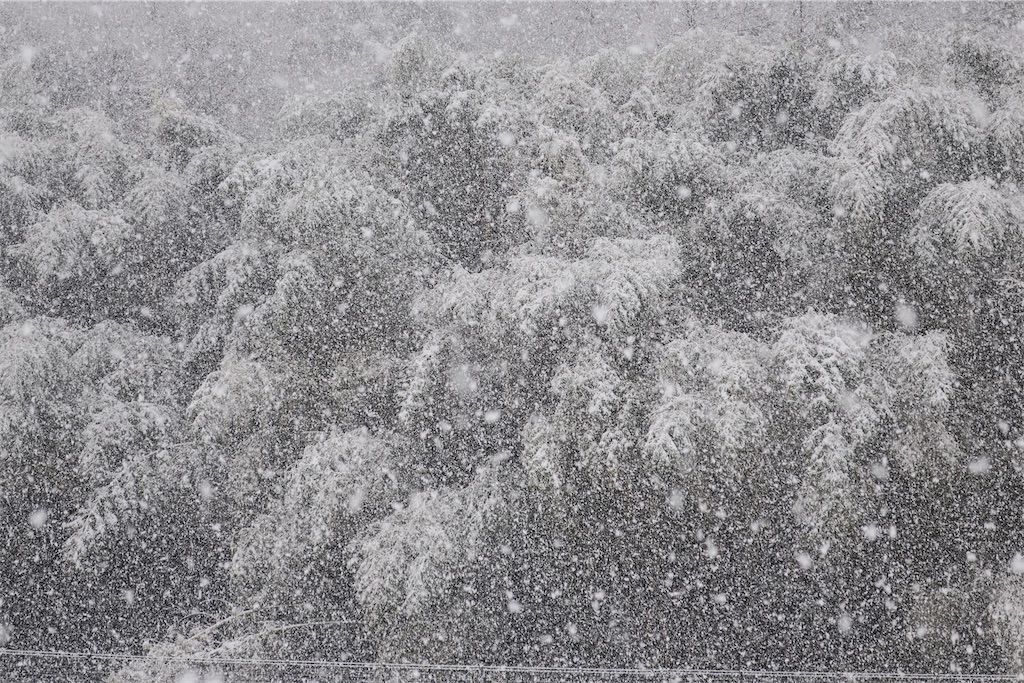 f:id:Kouzi_Midorikawa:20240207050157j:image