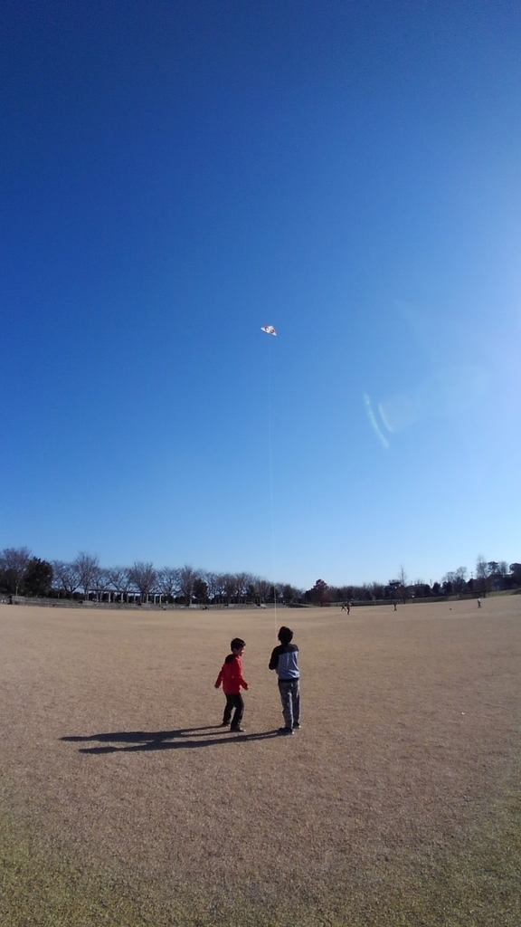 f:id:Kozy3190:20190104175055j:plain