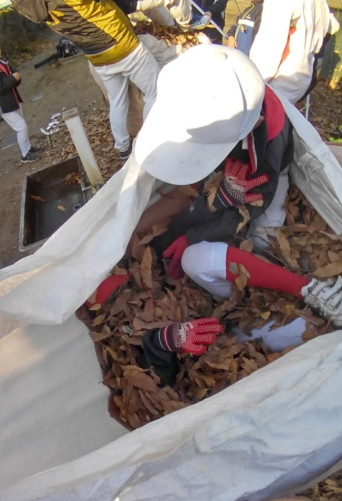 f:id:Kozy3190:20190128152406j:plain