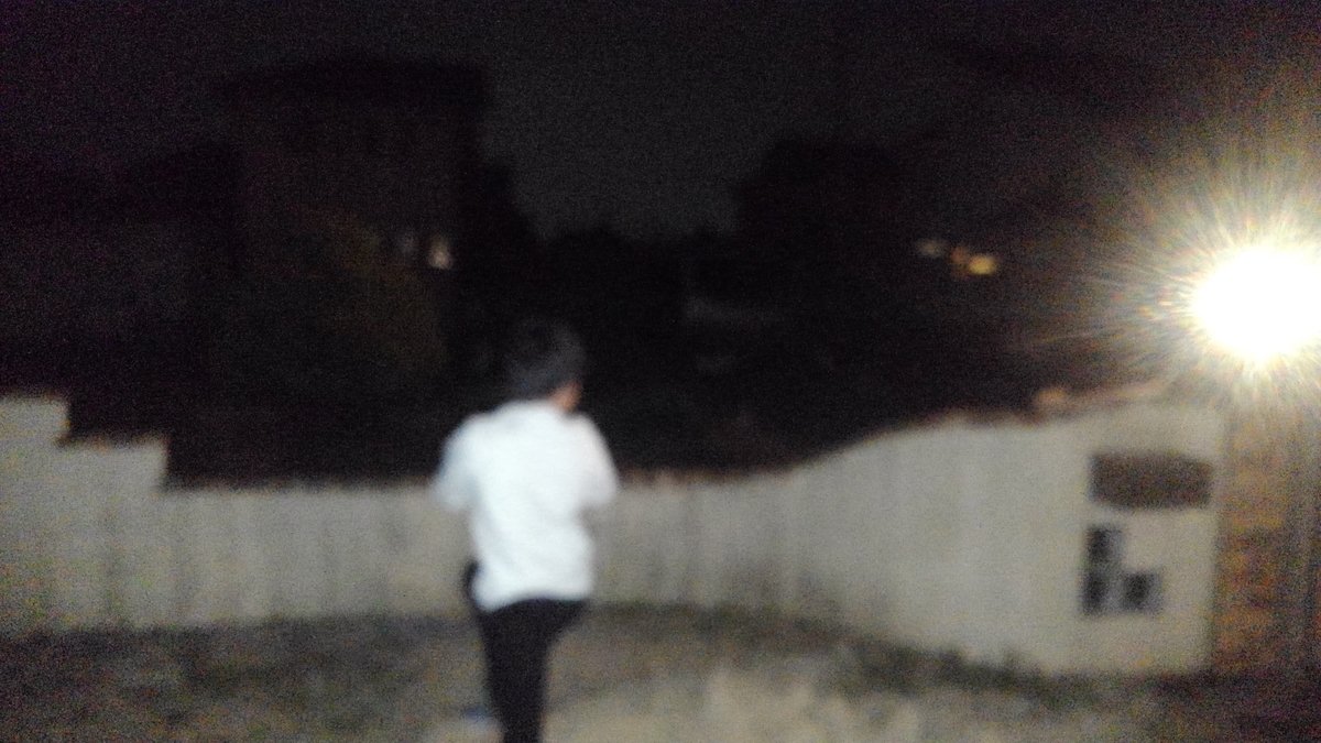 f:id:Kozy3190:20200307191931j:plain