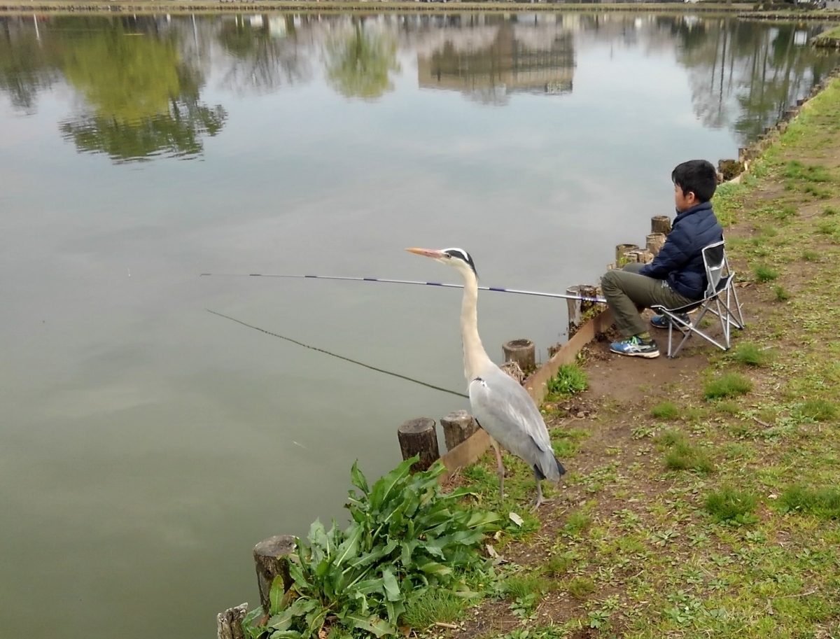 f:id:Kozy3190:20200327185923j:plain