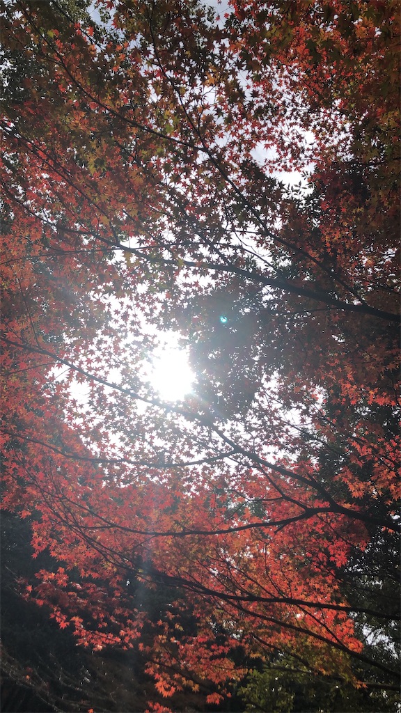 f:id:Krose:20201222091055j:image f:id:Krose:20201222091055j:image