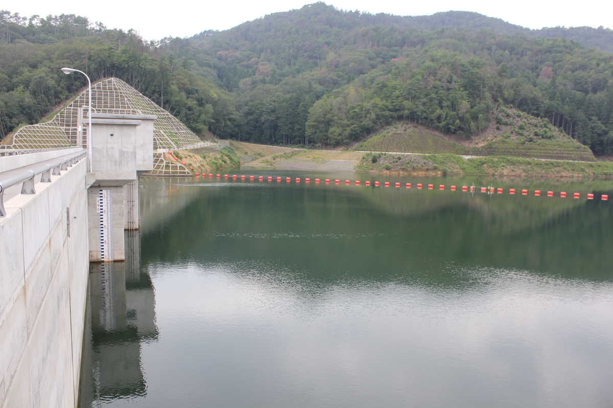 f:id:Ksuke-D:20200712161631j:plain f:id:Ksuke-D:20200712161631j:plain