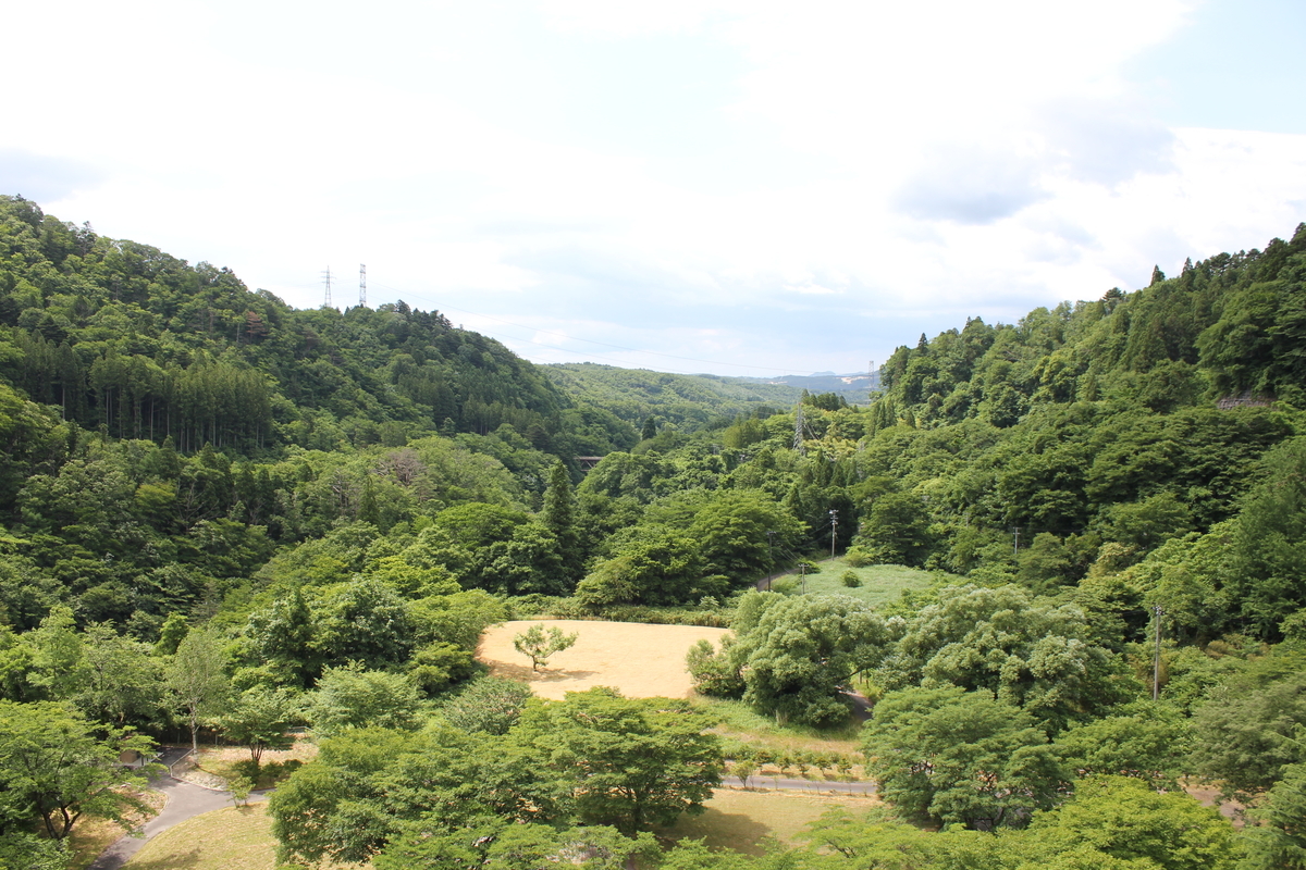 f:id:Ksuke-D:20210106162209j:plain