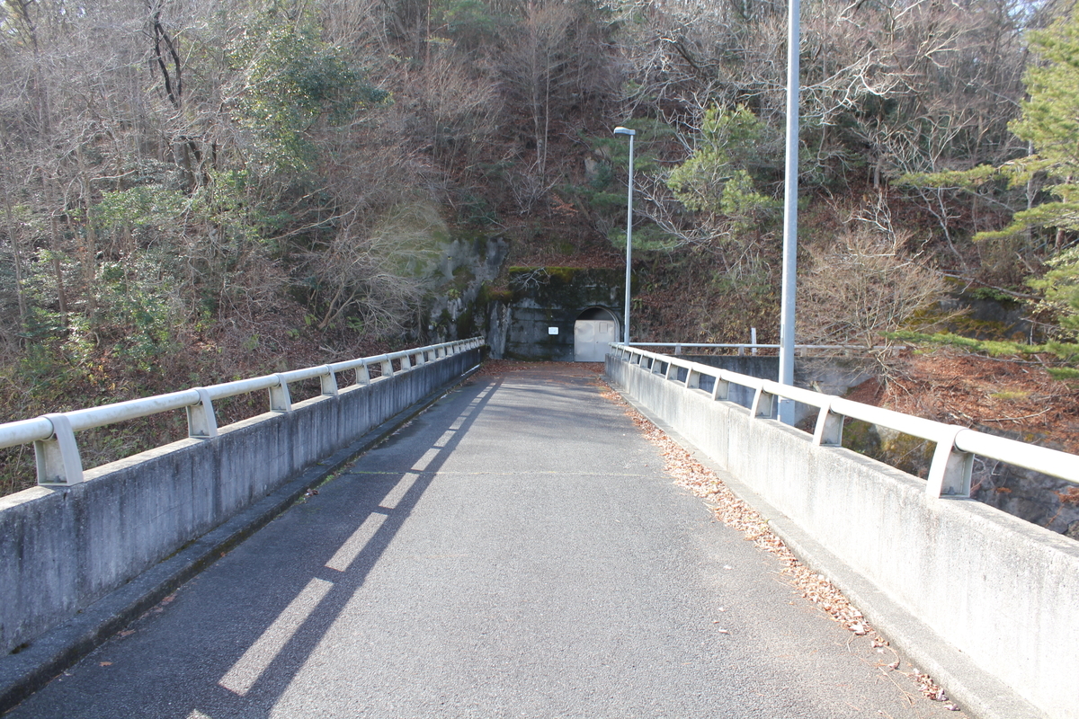 f:id:Ksuke-D:20210124211808j:plain