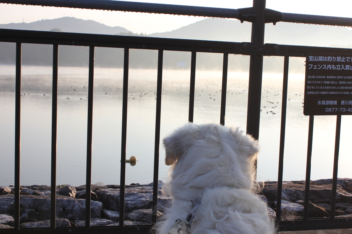 f:id:Ksuke-D:20210206132405j:plain