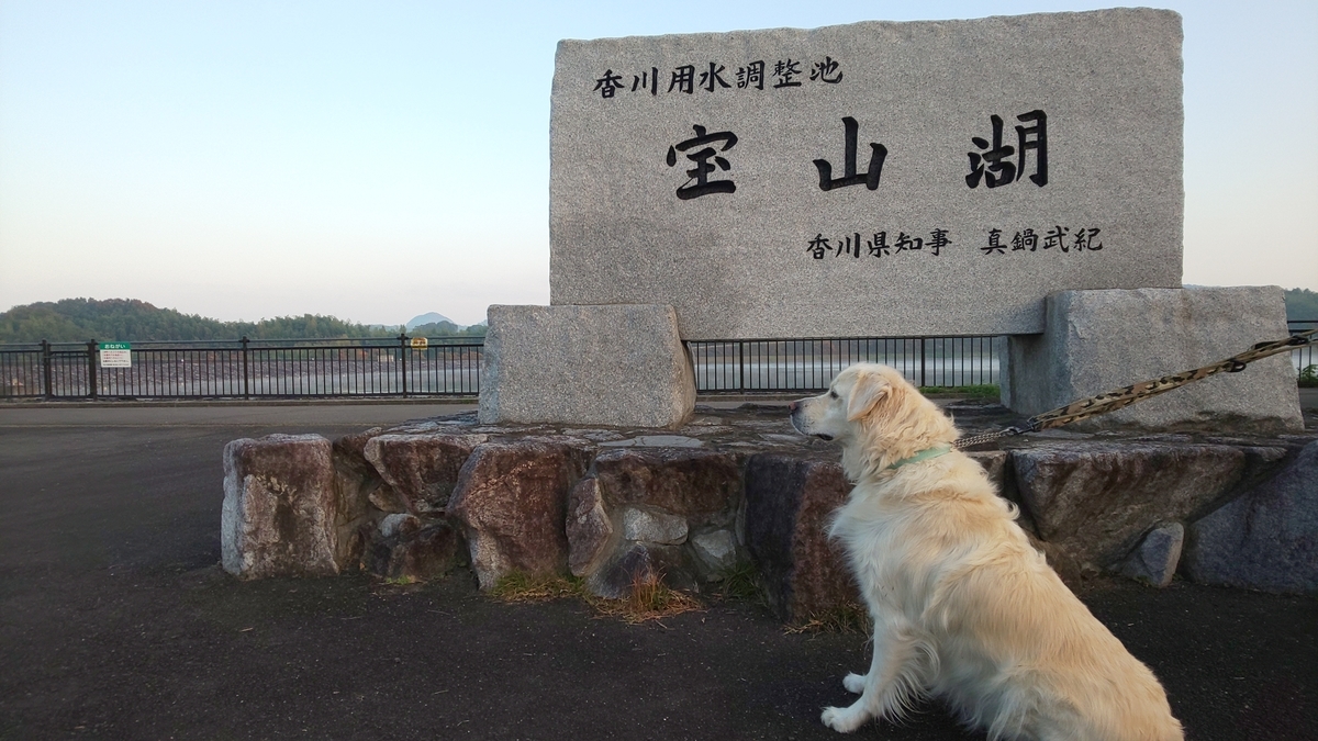 f:id:Ksuke-D:20210206132424j:plain