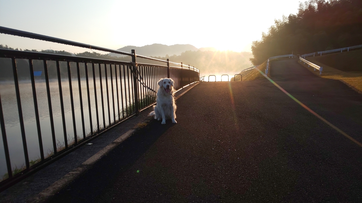 f:id:Ksuke-D:20210206132433j:plain