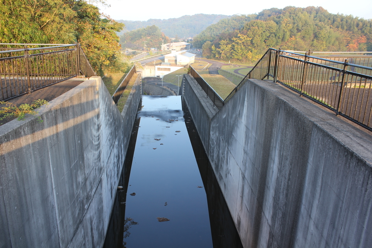 f:id:Ksuke-D:20210206132646j:plain