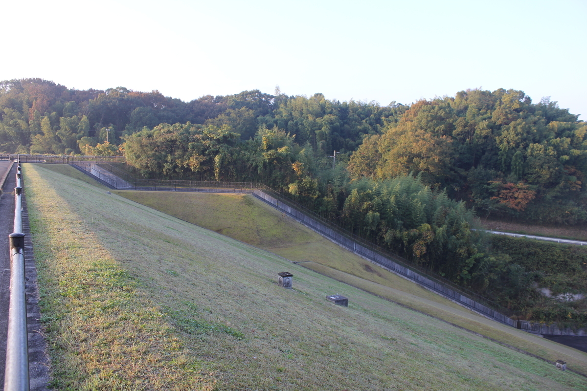 f:id:Ksuke-D:20210206132738j:plain