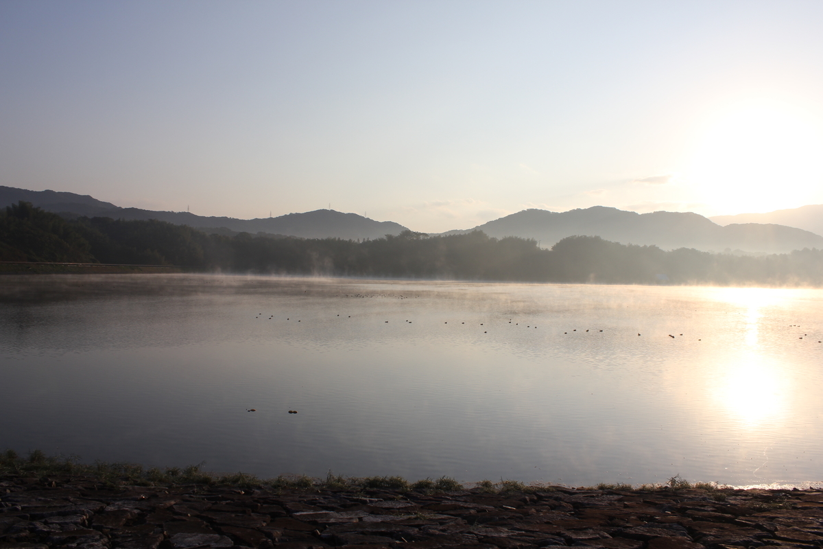 f:id:Ksuke-D:20210206132805j:plain