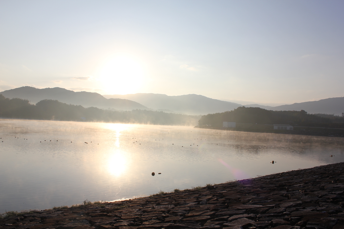 f:id:Ksuke-D:20210206132816j:plain