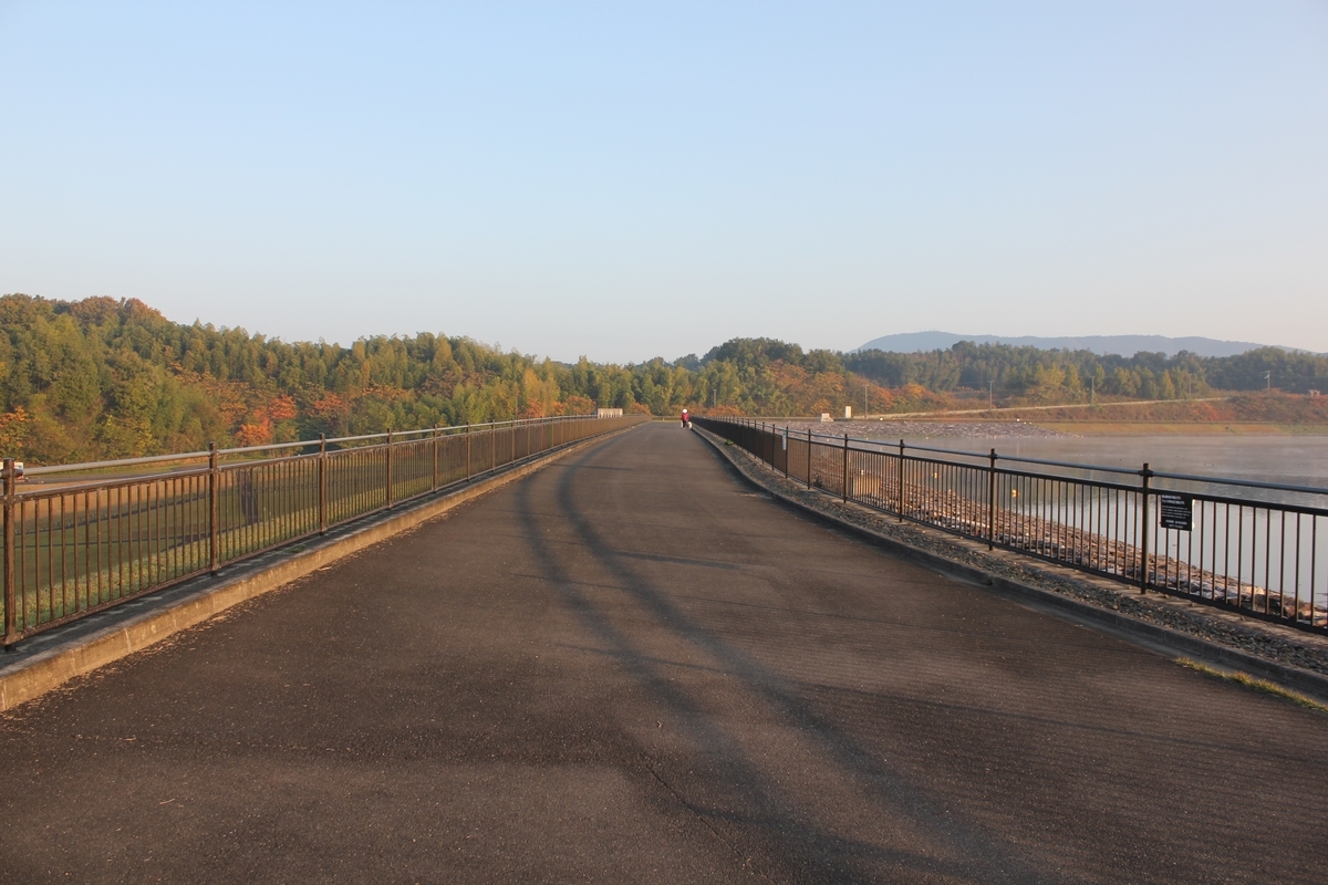 f:id:Ksuke-D:20210206140424j:plain