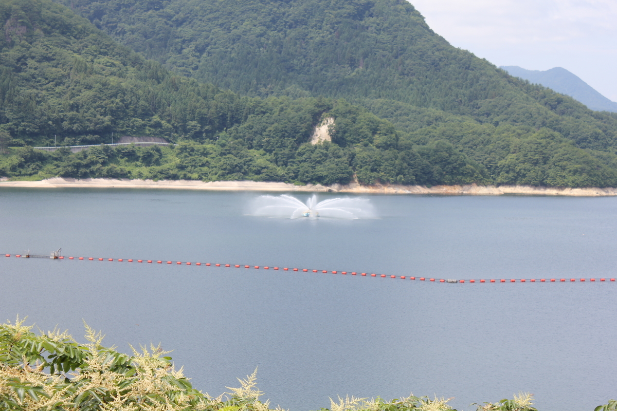 f:id:Ksuke-D:20210220131341j:plain