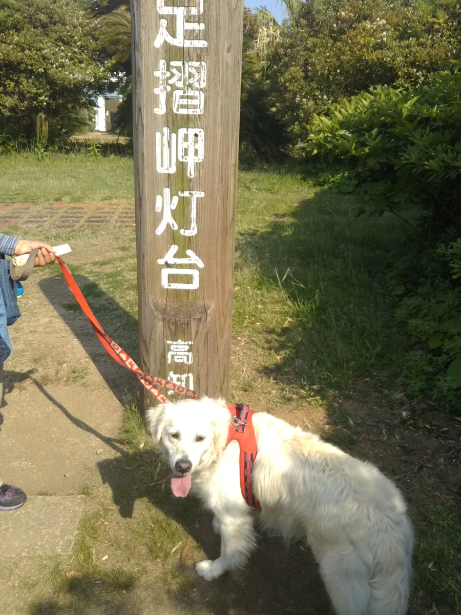 f:id:Ksuke-D:20210411171448j:plain