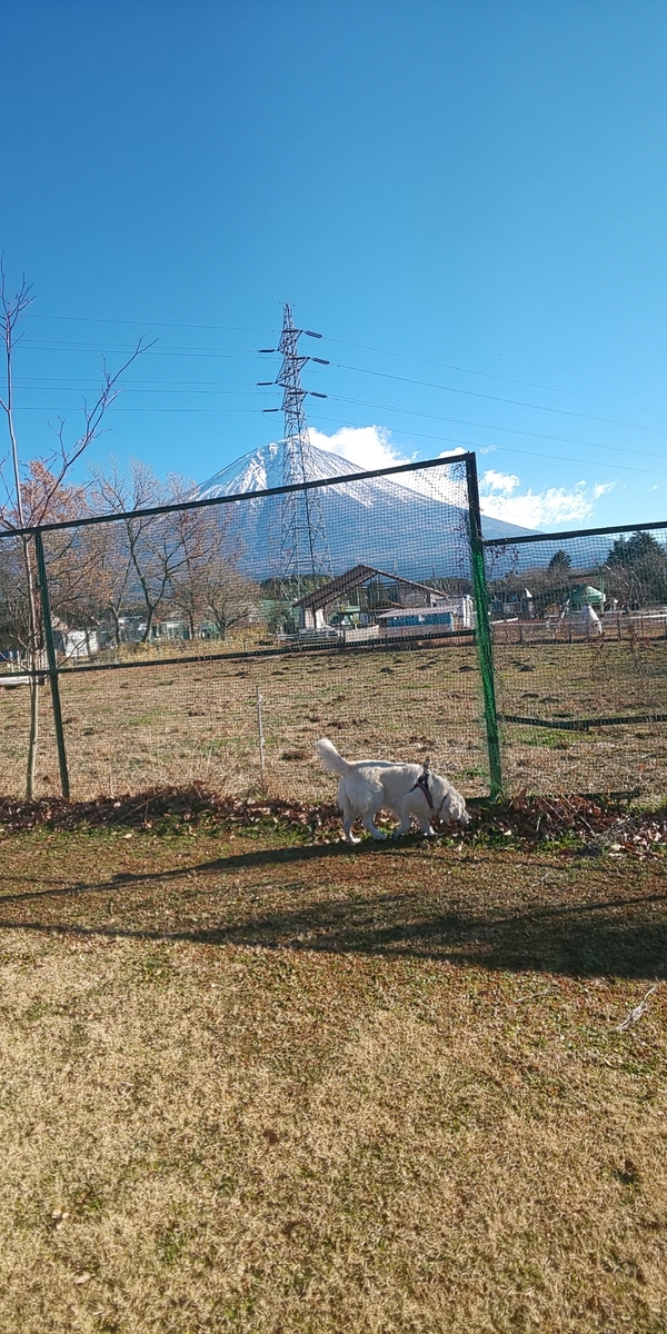 f:id:Ksuke-D:20210619134935j:plain