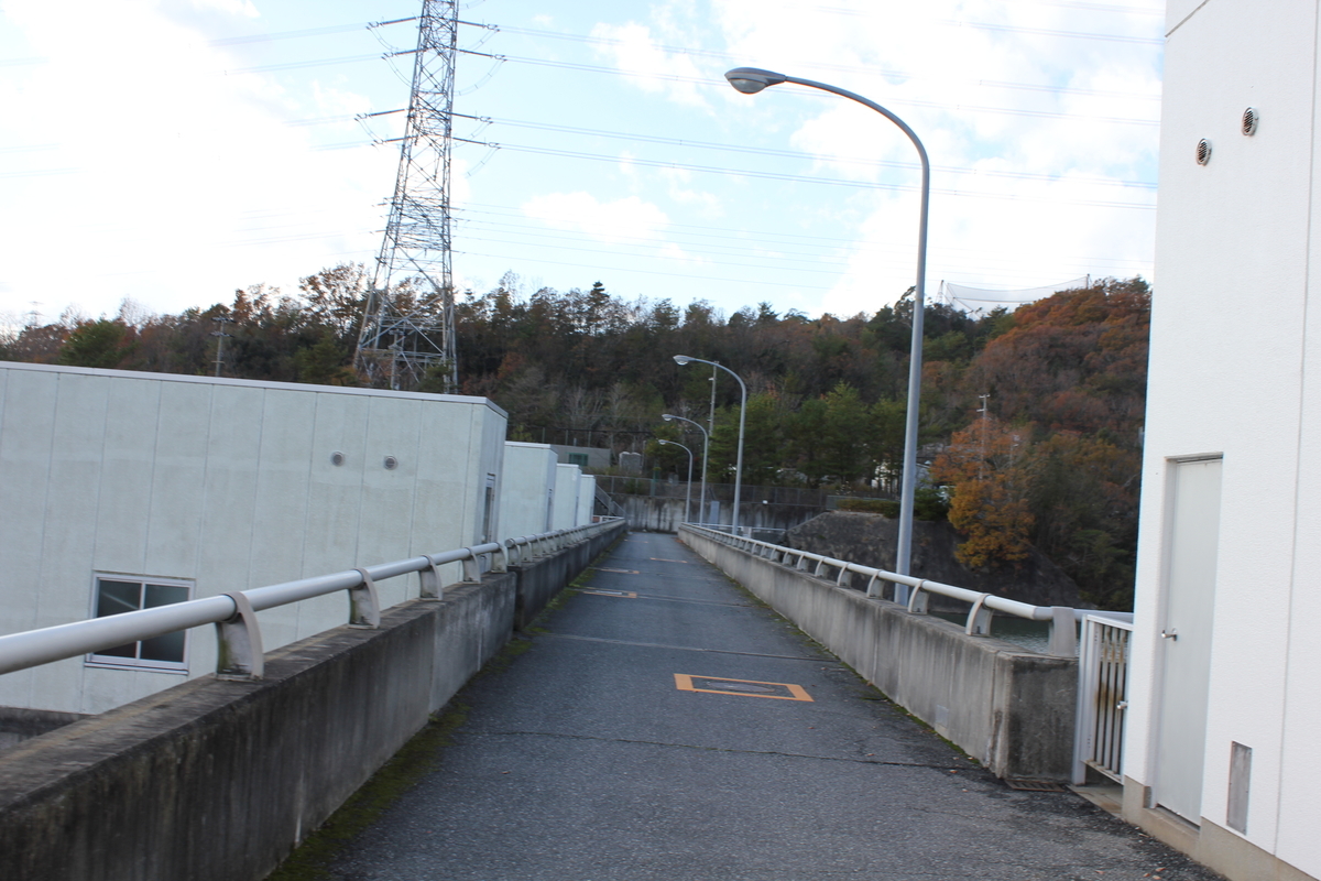 f:id:Ksuke-D:20210620143902j:plain