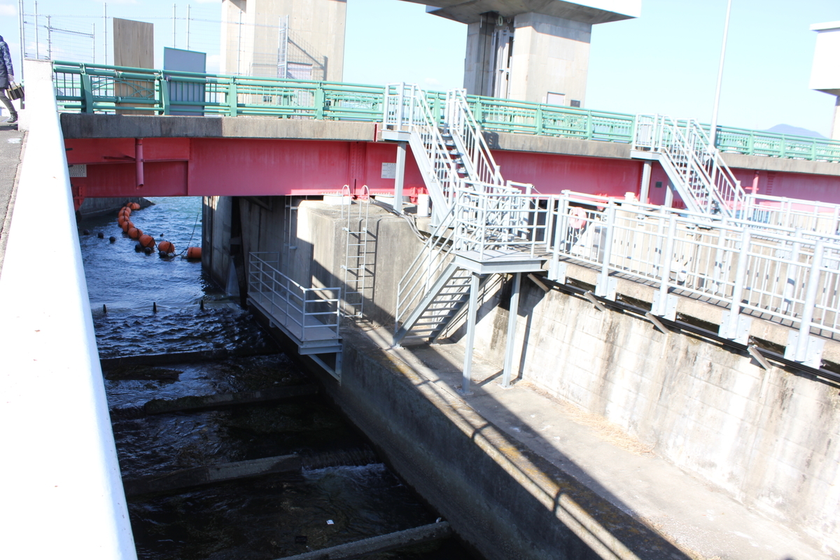 f:id:Ksuke-D:20210626144924j:plain