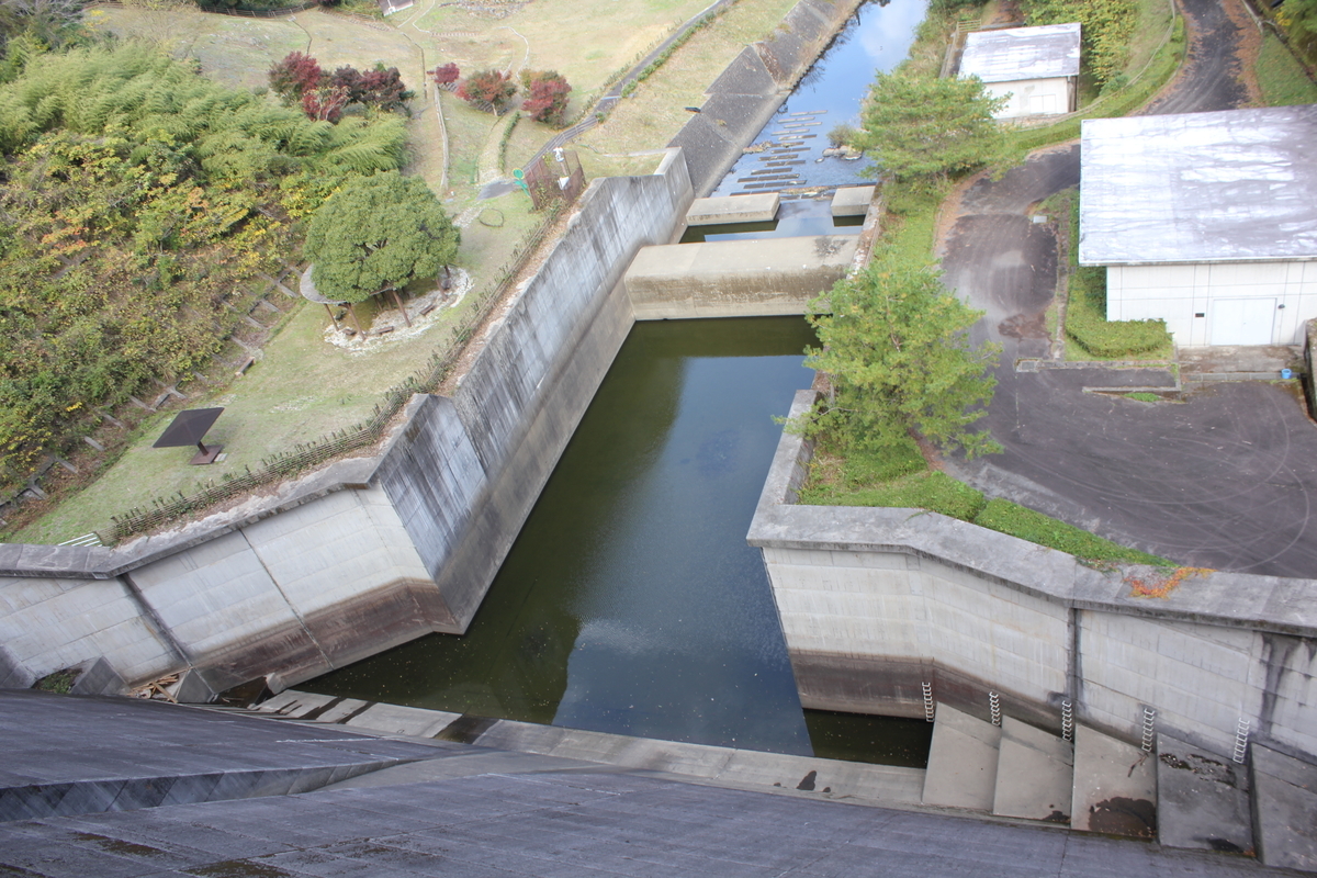 f:id:Ksuke-D:20210703151610j:plain