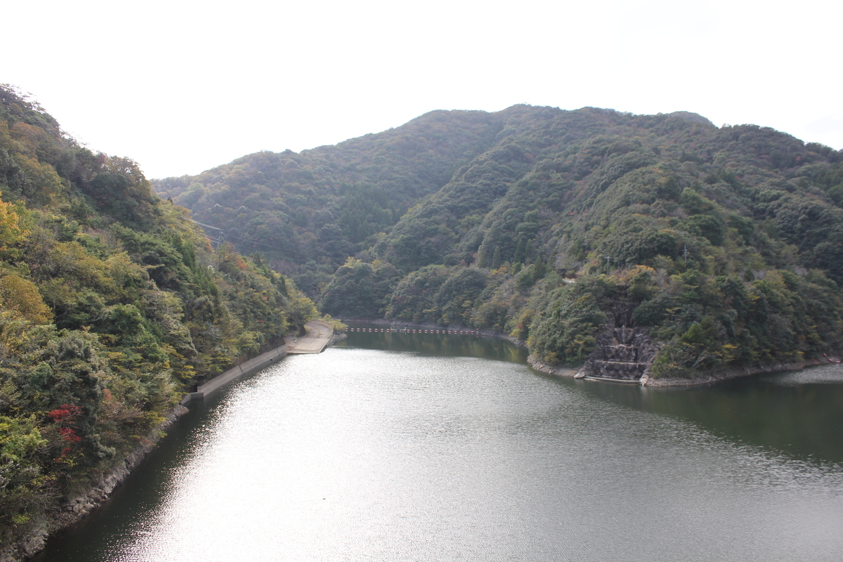 f:id:Ksuke-D:20210703151619j:plain