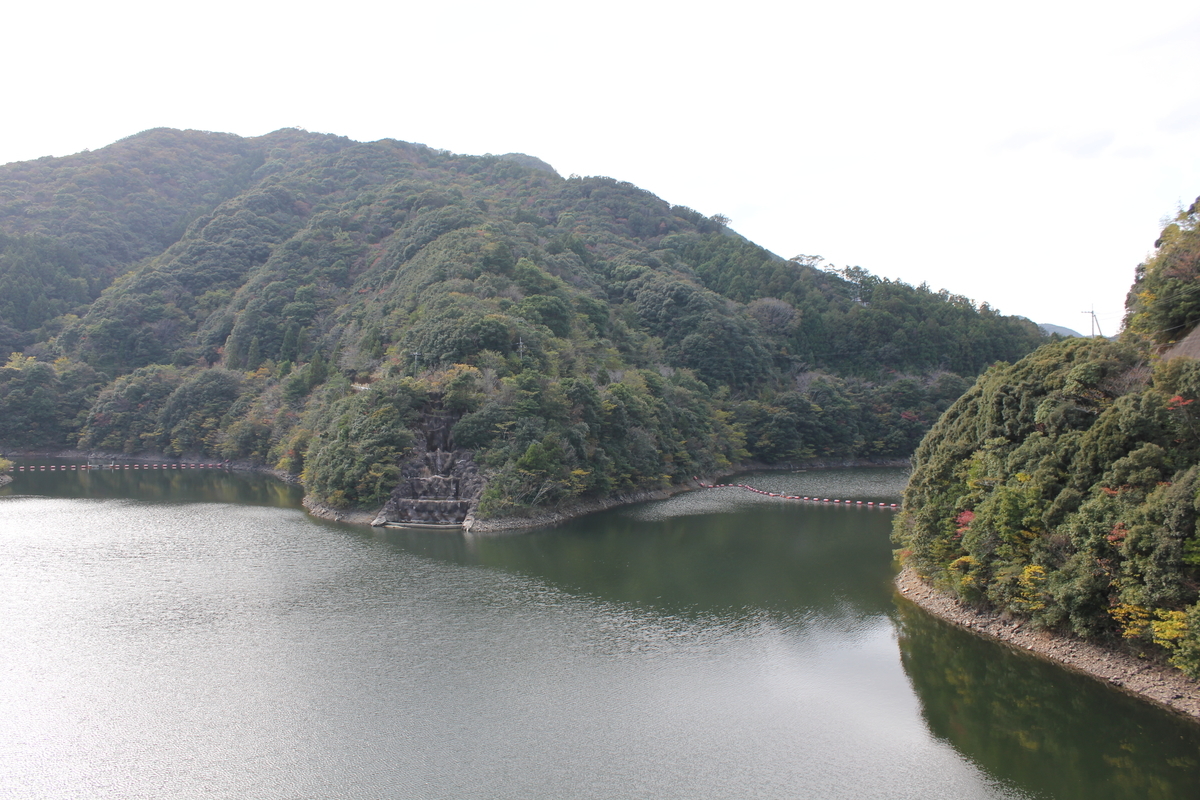 f:id:Ksuke-D:20210703151627j:plain