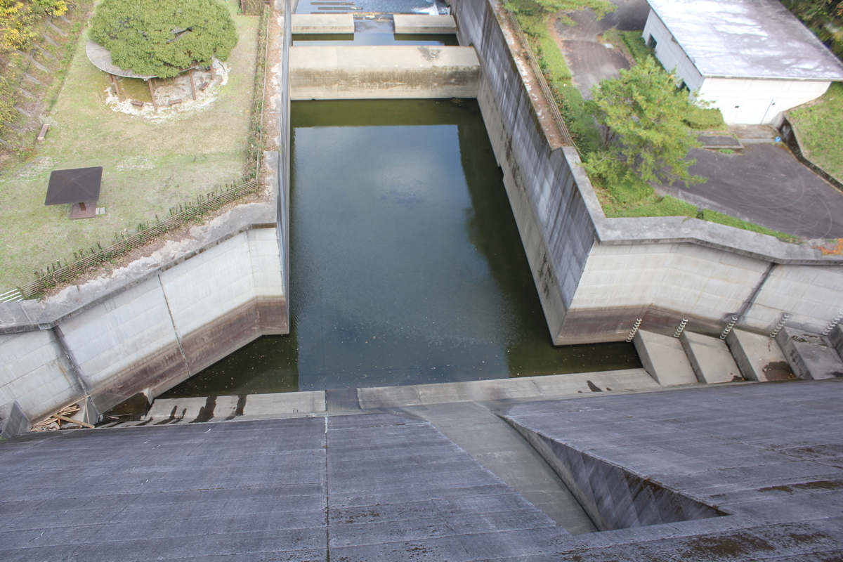 f:id:Ksuke-D:20210703151637j:plain