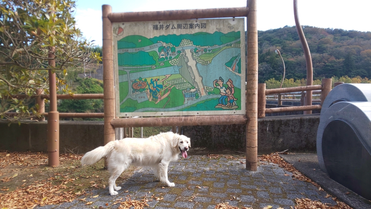 f:id:Ksuke-D:20210703151658j:plain