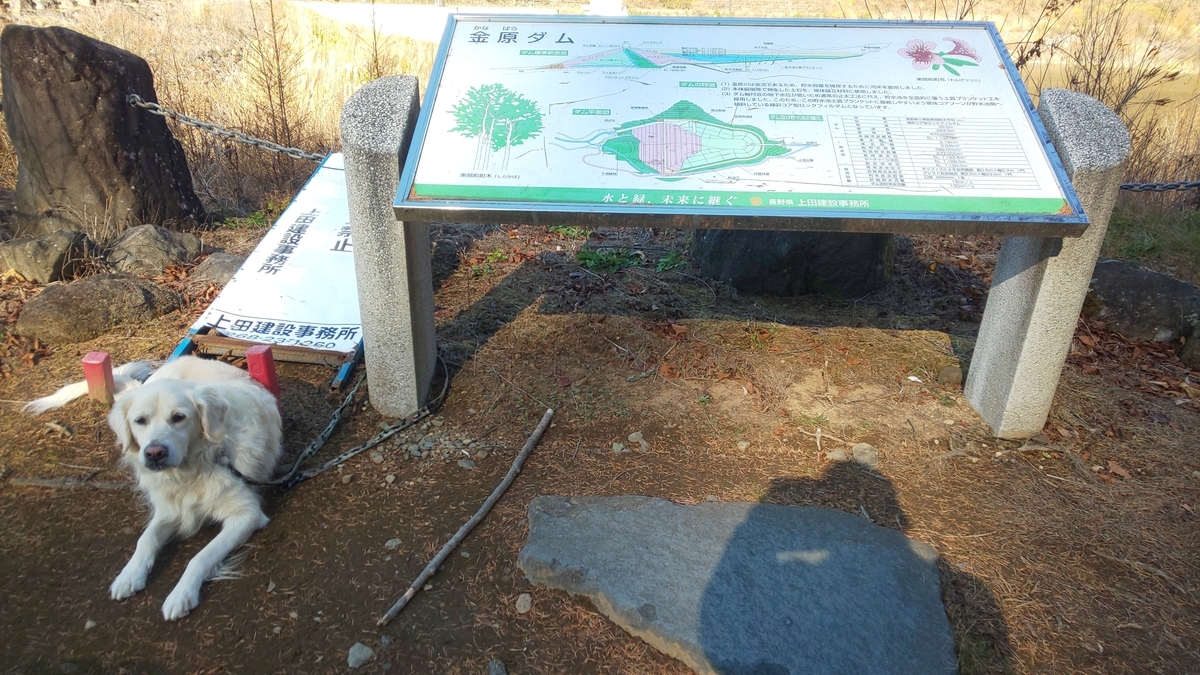 f:id:Ksuke-D:20211204135005j:plain