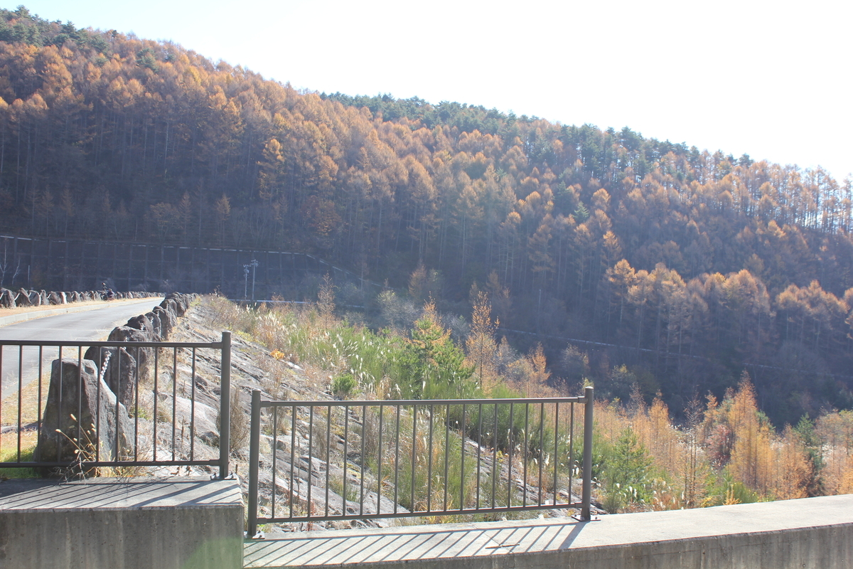 f:id:Ksuke-D:20211204135037j:plain