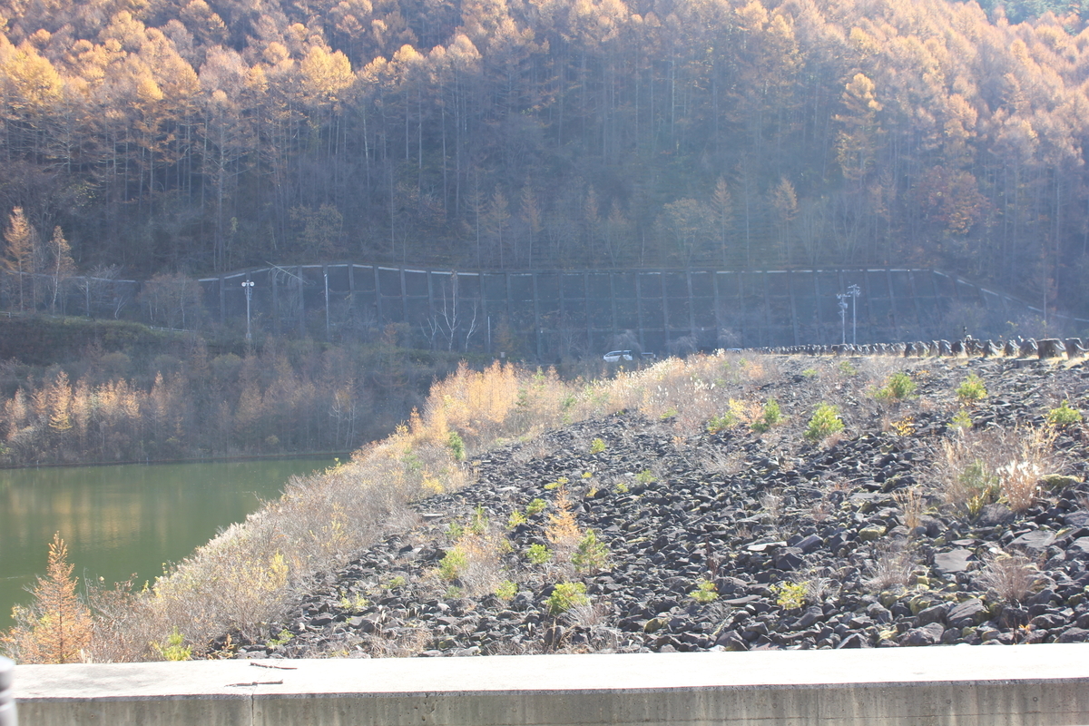 f:id:Ksuke-D:20211204135044j:plain