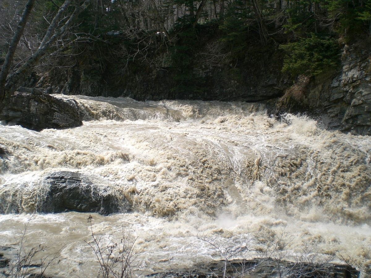 f:id:Ksuke-D:20220219172914j:plain