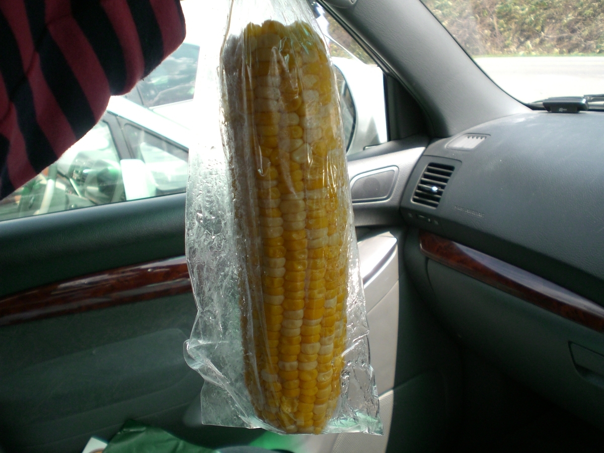 f:id:Ksuke-D:20220219172920j:plain