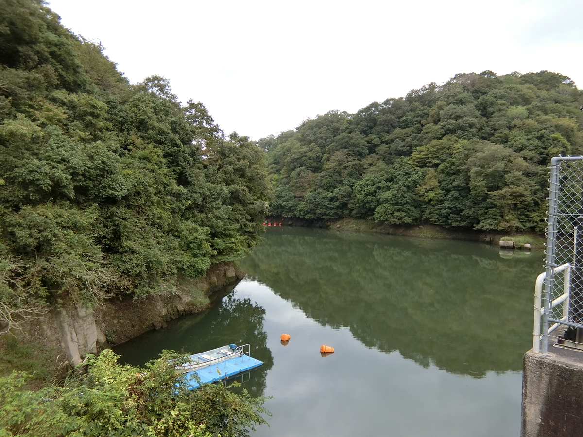f:id:Ksuke-D:20220403155126j:plain