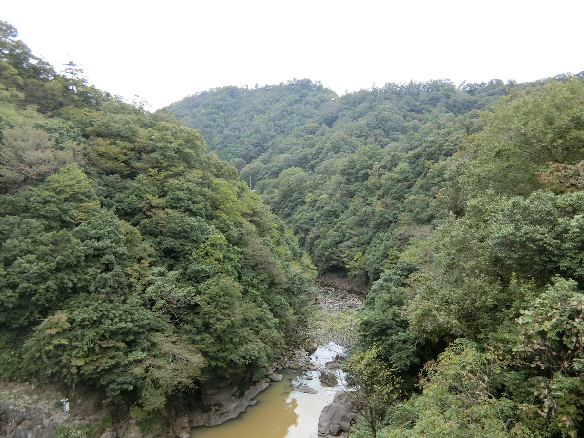 f:id:Ksuke-D:20220403155135j:plain