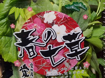 f:id:Ktharu:20140107014953j:image