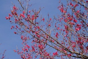f:id:Ktharu:20140211032816j:image:left