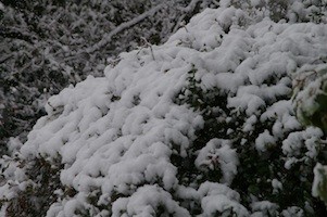f:id:Ktharu:20140213215755j:image