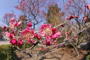 f:id:Ktharu:20140224022644j:image