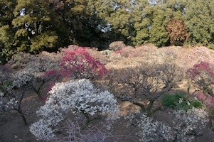 f:id:Ktharu:20140224030122j:image