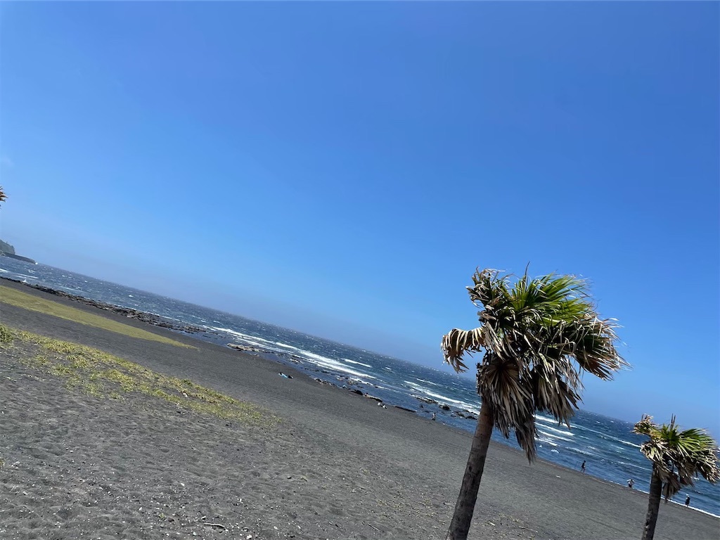 f:id:Ktmikan:20230902175609j:image