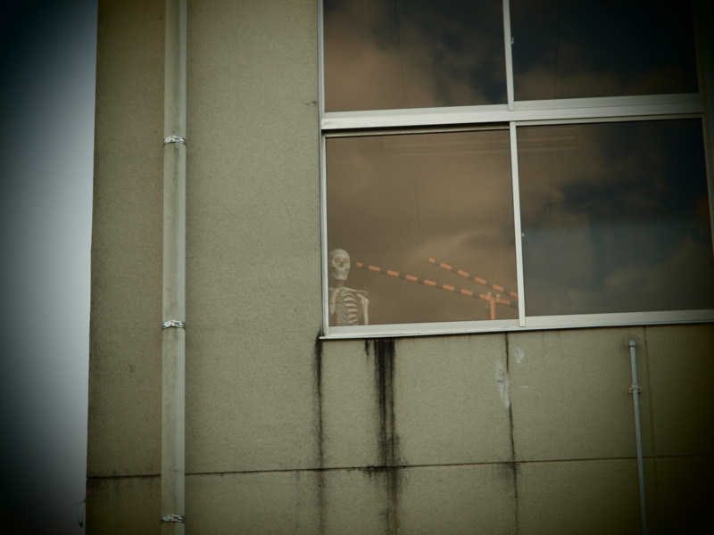f:id:Kuaro:20111120141735j:image:w360:right