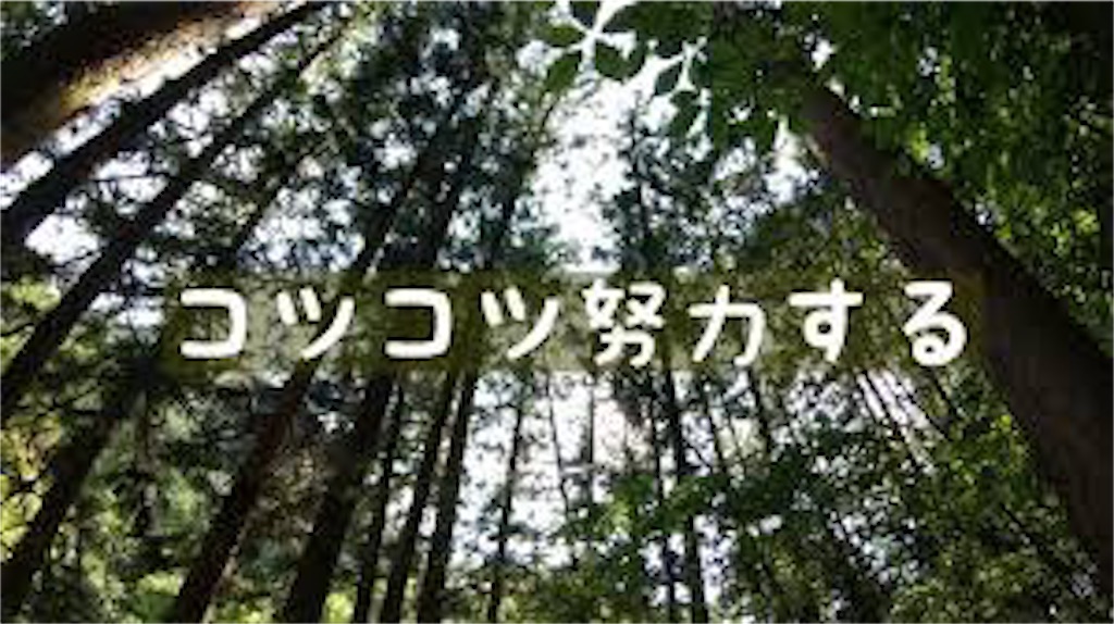 f:id:Kubodai:20200902233415j:image f:id:Kubodai:20200902233415j:image