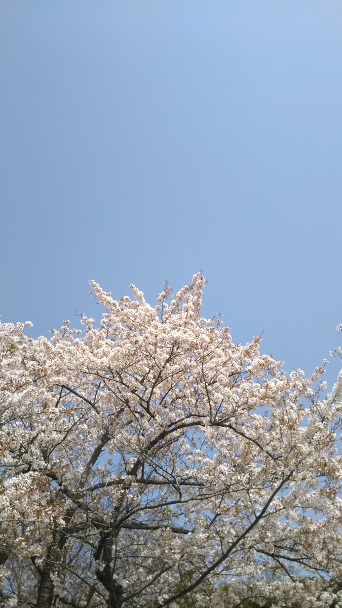 f:id:KumaT:20210404115812j:plain