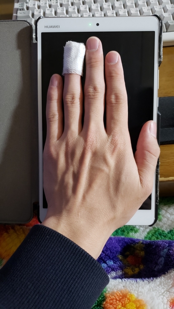 Galaxy S9+ 大きさ