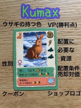 コニーのウサギカード