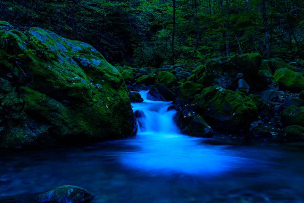 f:id:Kumamon:20161028213424j:plain